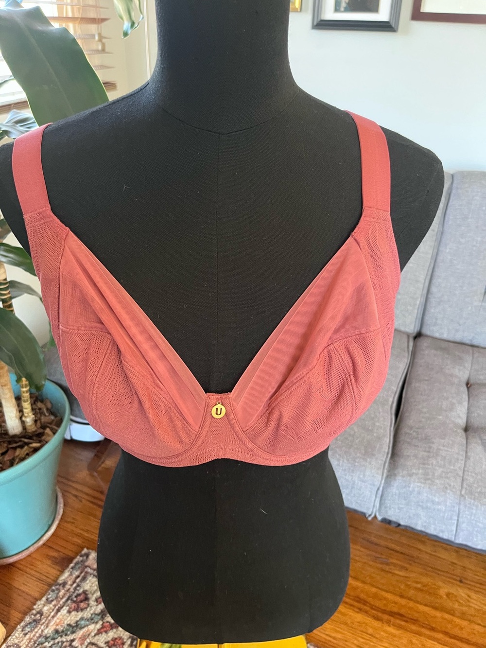 NWT Undestance Tilda Smooth Lace Flexwire Unpadded bra size 30H